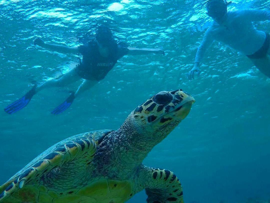 Summer Shade Maldives ดาราวานดูห์ ภายนอก รูปภาพ