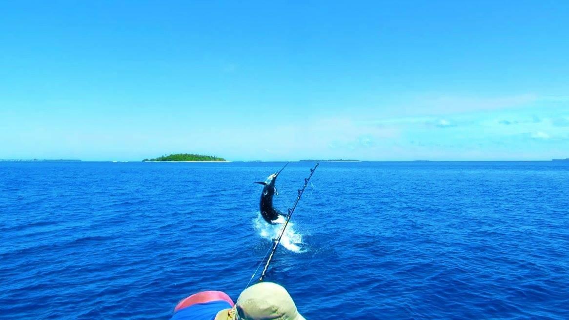Summer Shade Maldives ดาราวานดูห์ ภายนอก รูปภาพ